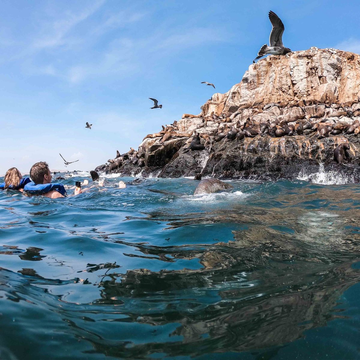 tour islas palomino